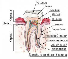 Как бороться с повышенной чувствительностью зубов: причины повышенной чувствительности зубов и методы их устранения