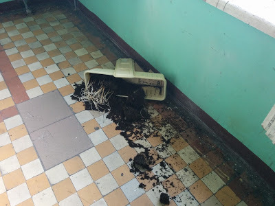 Как делают капремонт многоквартирного дома отзывы