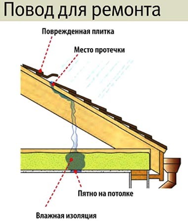 Как добиться ремонта кровли в многоквартирном доме