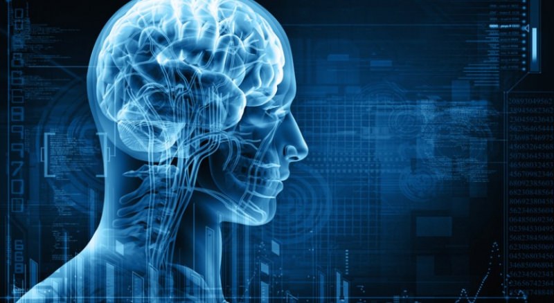 Как достичь высокой умственной работоспособности?