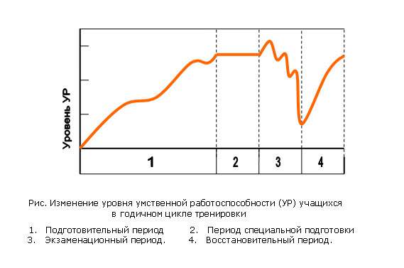 Как достичь высокой умственной работоспособности?