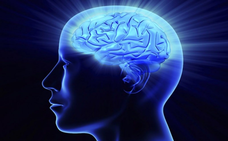 Как достичь высокой умственной работоспособности?