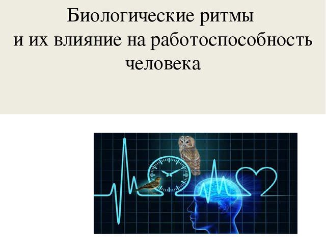 Как достичь высокой умственной работоспособности?