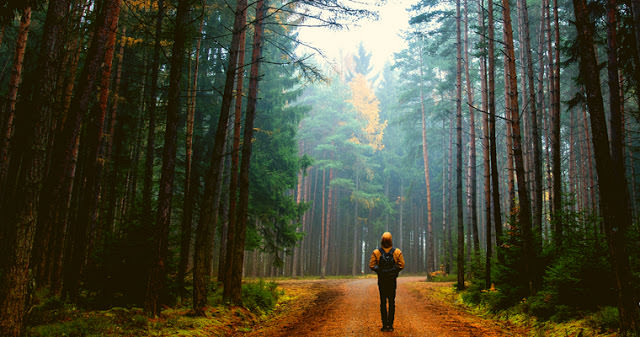 Как двигаться вперед, когда вы чувствуете неопределенность