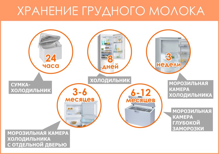 Как хранить сцеженное грудное молоко и сколько можно держать его в холодильнике?