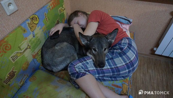 Как избавиться от бессоницы — поведенческие приемы для сладкого сна