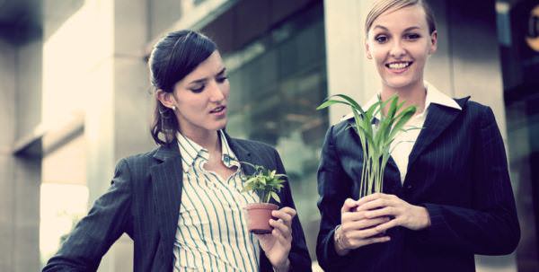 Как избавиться от зависти