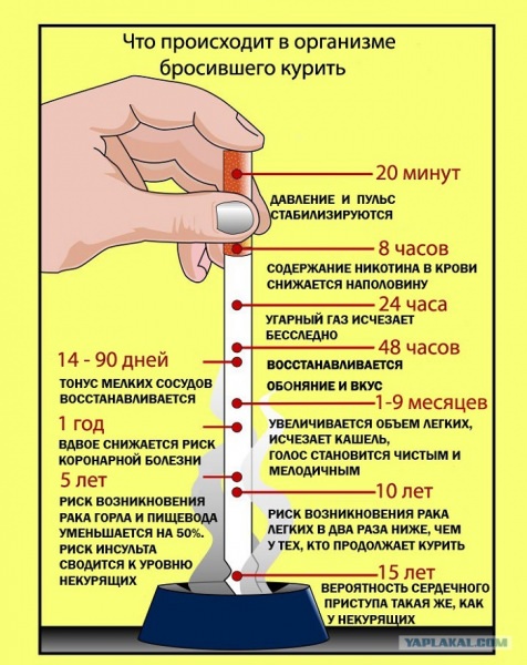 Как я бросила курить за три недели