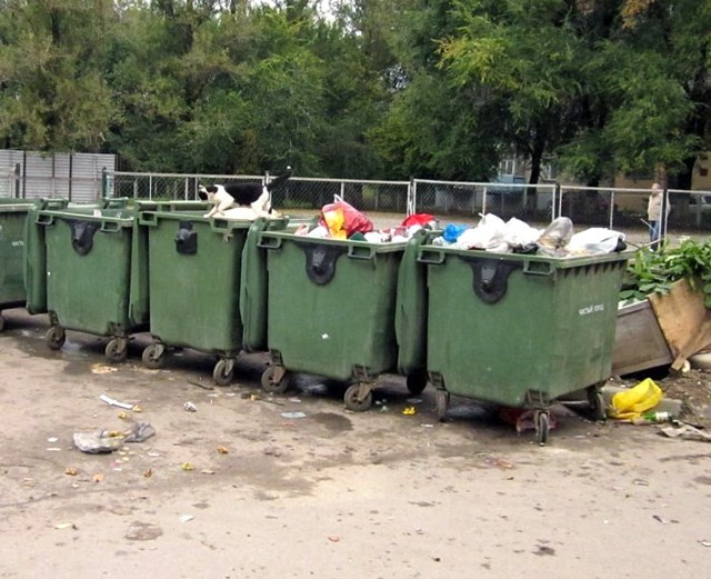 Как начисляется оплата за вывоз мусора в многоквартирном доме