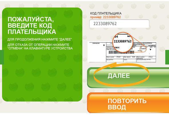 Как найти код плательщика на квитанции жкх