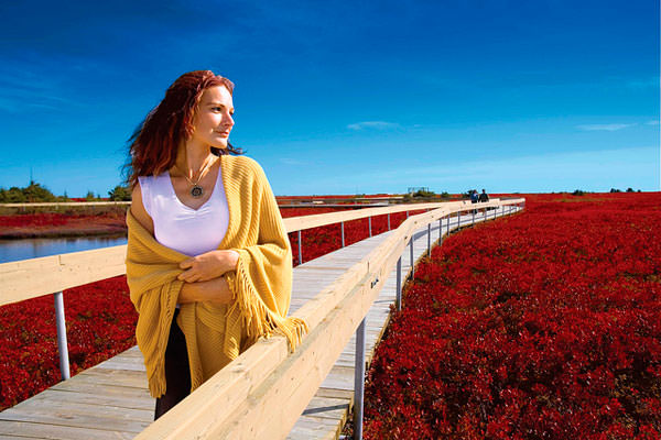 Как найти себя в этой жизни