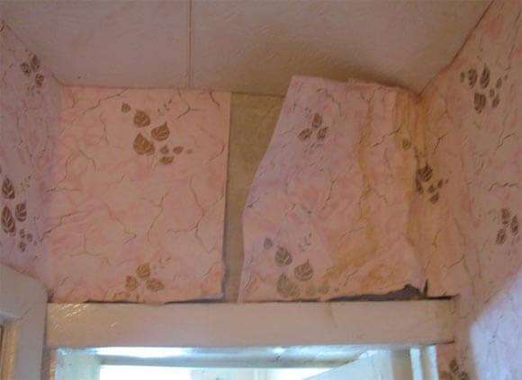 Как написать заявление в тсж на ремонт крыши образец