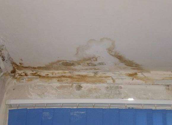 Как написать заявление в тсж на ремонт крыши образец