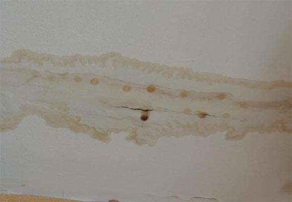 Как написать заявление в тсж на ремонт крыши образец