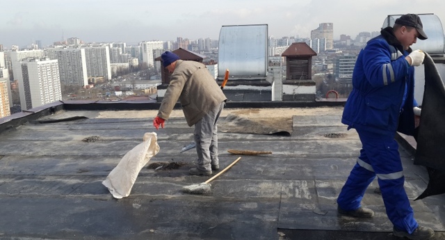 Как написать заявление в тсж на ремонт крыши образец