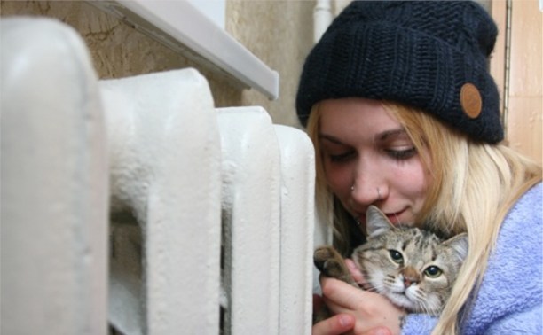 Как написать заявление в жкх на ремонт отопления