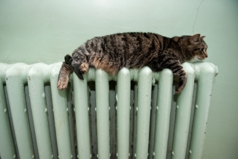 Как нас обманывают жкх с отоплением