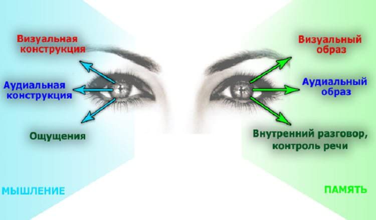 Как научиться читать мысли по глазам