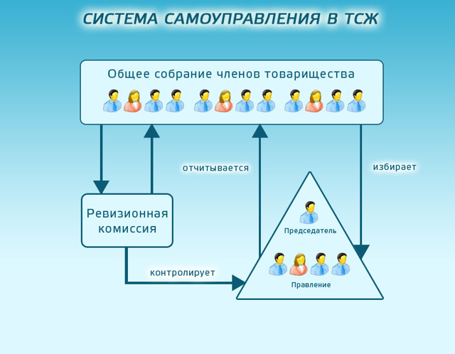 Как назначить аудиторскую проверку в тсж