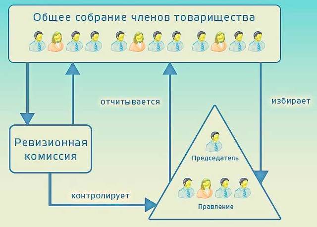 Как назначить аудиторскую проверку в тсж