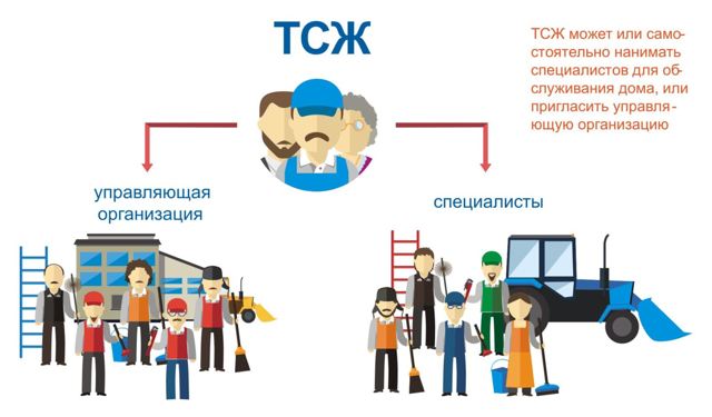Как организовать аудиторскую проверку в тсж