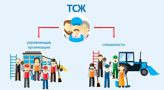 Как организовать тсж в новостройке