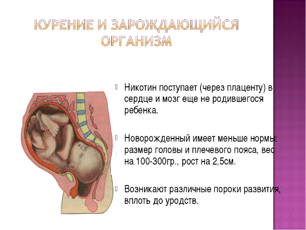 Как отходят воды перед родами, что означают зеленые воды при родах