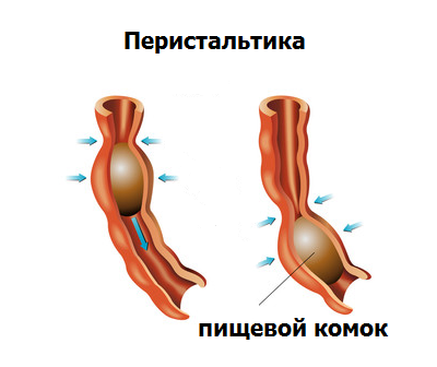 Как отличить невроз от других заболеваний: правила дифференцирования невроза от грыжи пищеводного отверстия диафрагмы