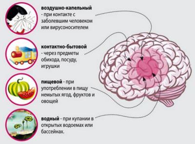 Как передается менингит вирусный, как можно заразиться от человека