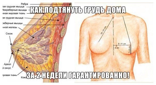 Как подтянуть грудь в домашних условиях &mdash; упражнения, массаж, увлажнение