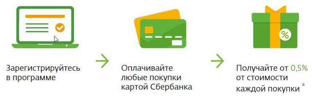 Как получить бонусы спасибо от сбербанка при оплате коммунальных услуг