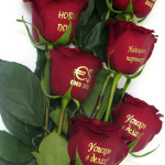 Как получить выписку из егрюл о тсж