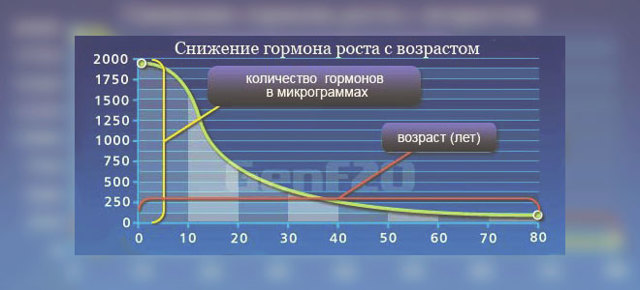 Как повысить гормон роста: симптомы недостатка и способы повышения выработки гормона роста