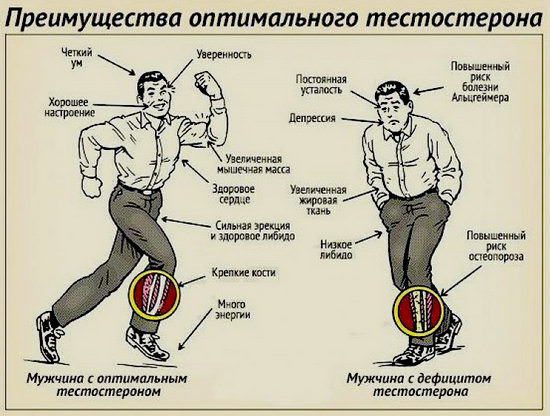 Как повысить тестостерон у мужчин, симптомы снижения, читаем анализ крови