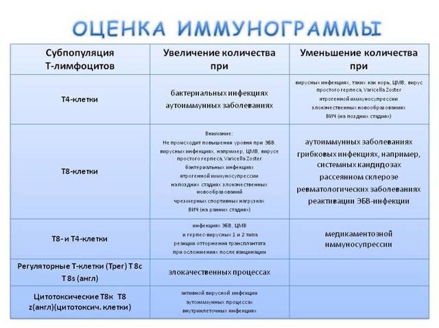 Как расшифровать данные анализа крови и иммунограммы