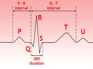 Как расшифровать экг сердца и диагностировать патологии сердца по экг