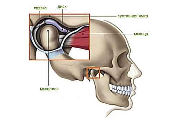 Как расшифровать мрт височно-нижнечелюстного сустава? | окейдок