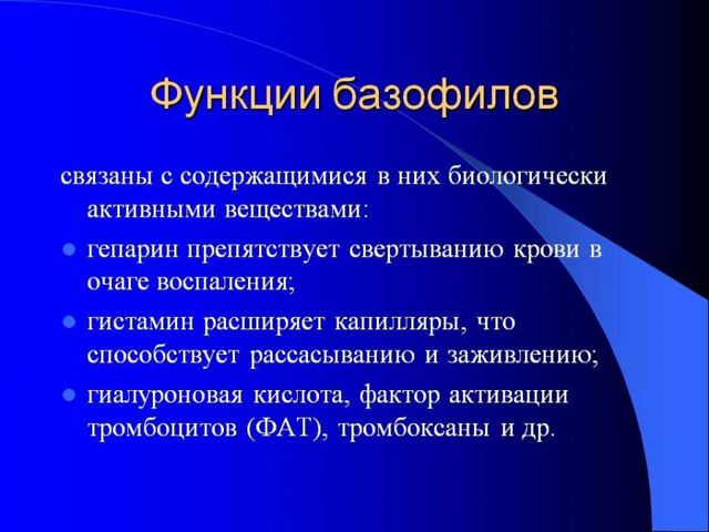 Как расшифровать оак и о чем говорит повышенный уровень базофилов