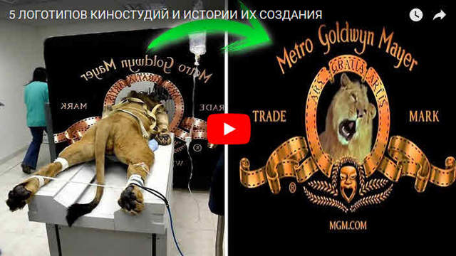 Как расшифровать обращение с тко коммунальные услуги