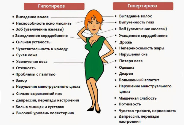 Как расшифровать общий анализ крови и анализ крови на гормоны щитовидной железы: отклонения от нормы в анализах крови