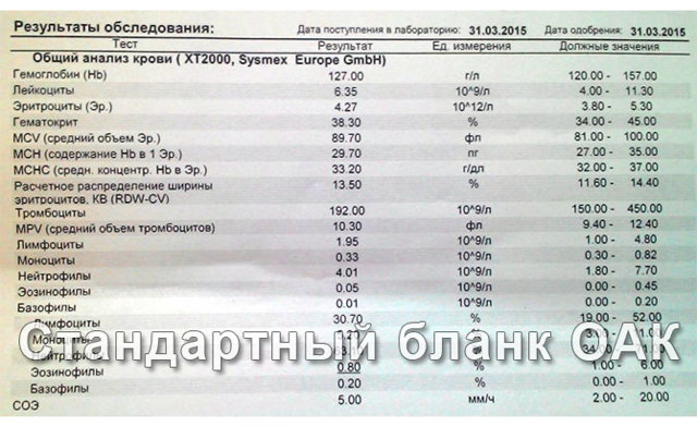 Как расшифровать общий анализ крови с формулой