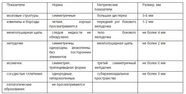 Как расшифровать результаты нейросонографии ребенка?