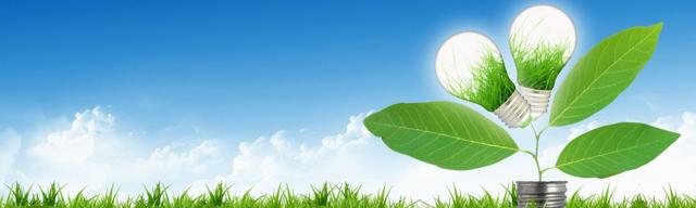 Как создается управляющая компания в снт