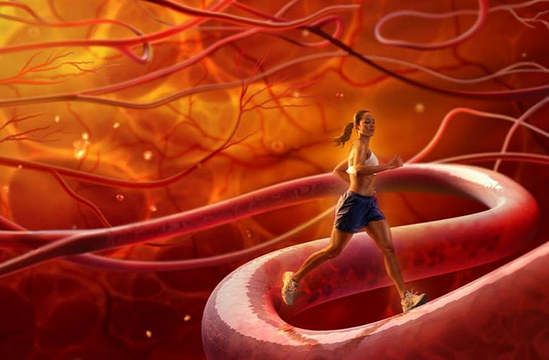 Как укрепить сосуды &mdash; причины и симптомы слабых сосудов, диета, народные способы