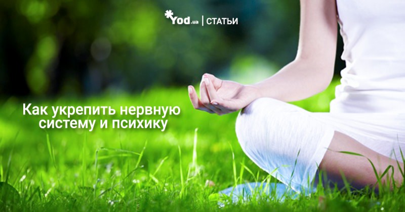 Как укрепить свою нервную систему