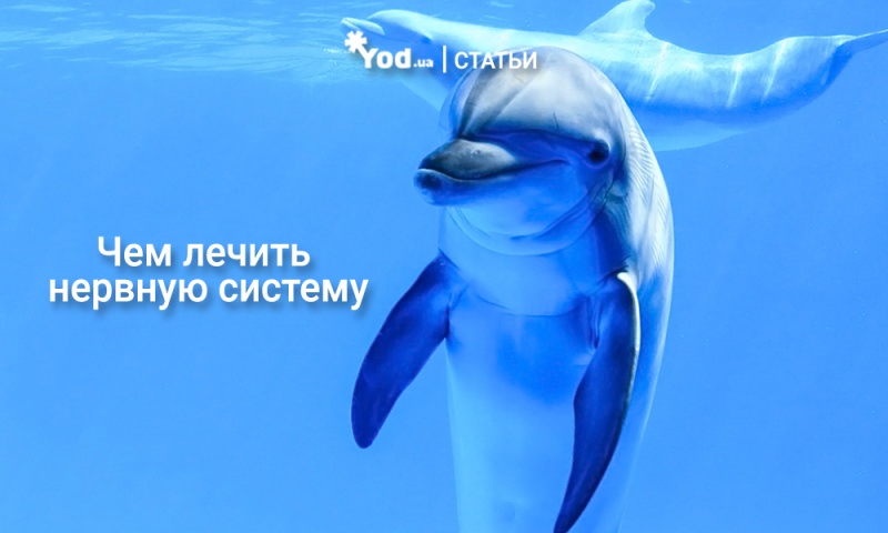 Как укрепить свою нервную систему