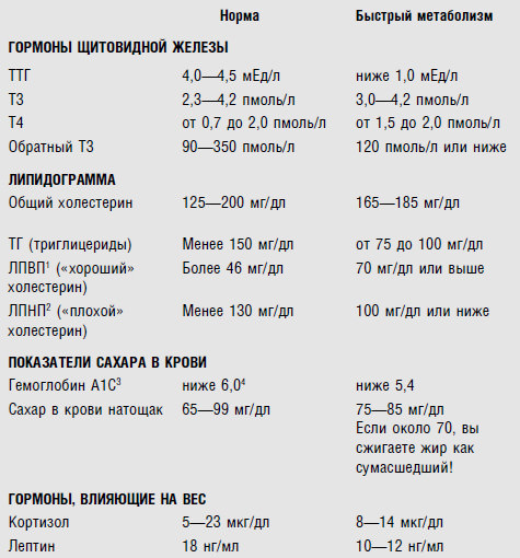 Как улучшить обмен веществ, диета для ускорения метаболизма