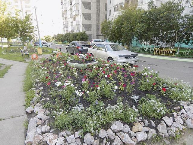 Как внести лицензию в гис жкх