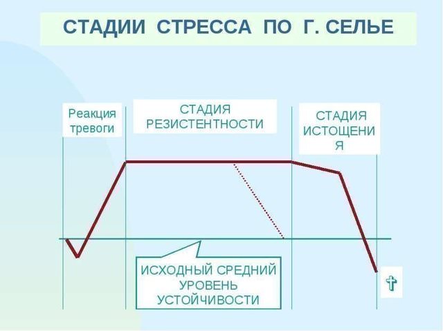 Как восстановить нервную систему после стресса в домашних условиях