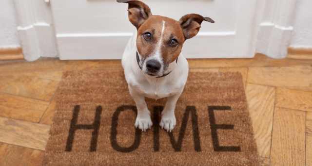 Как выбрать коврик в подъезд дома многоквартирного